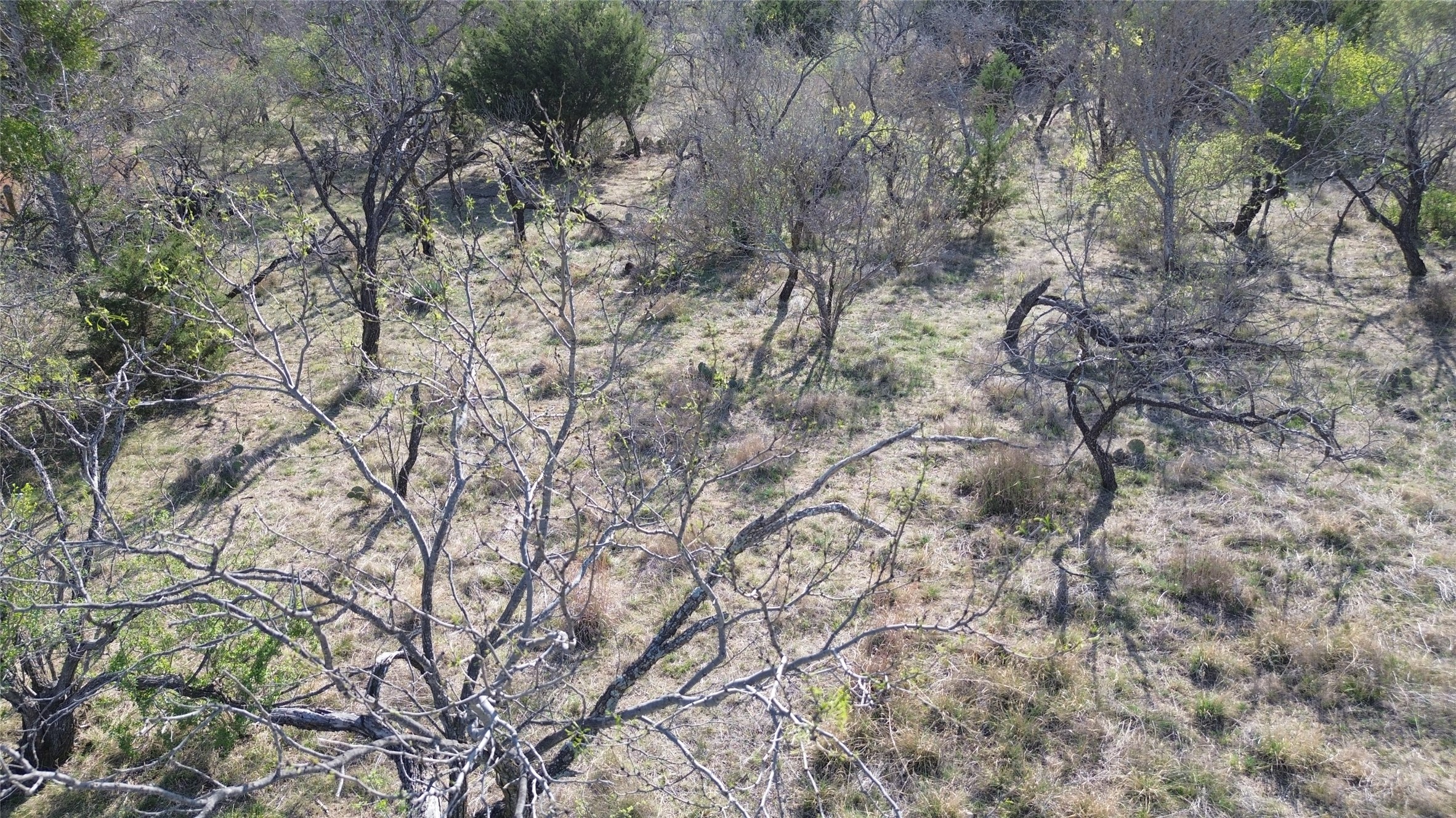 000 Lake Point Road Comanche TX 76442