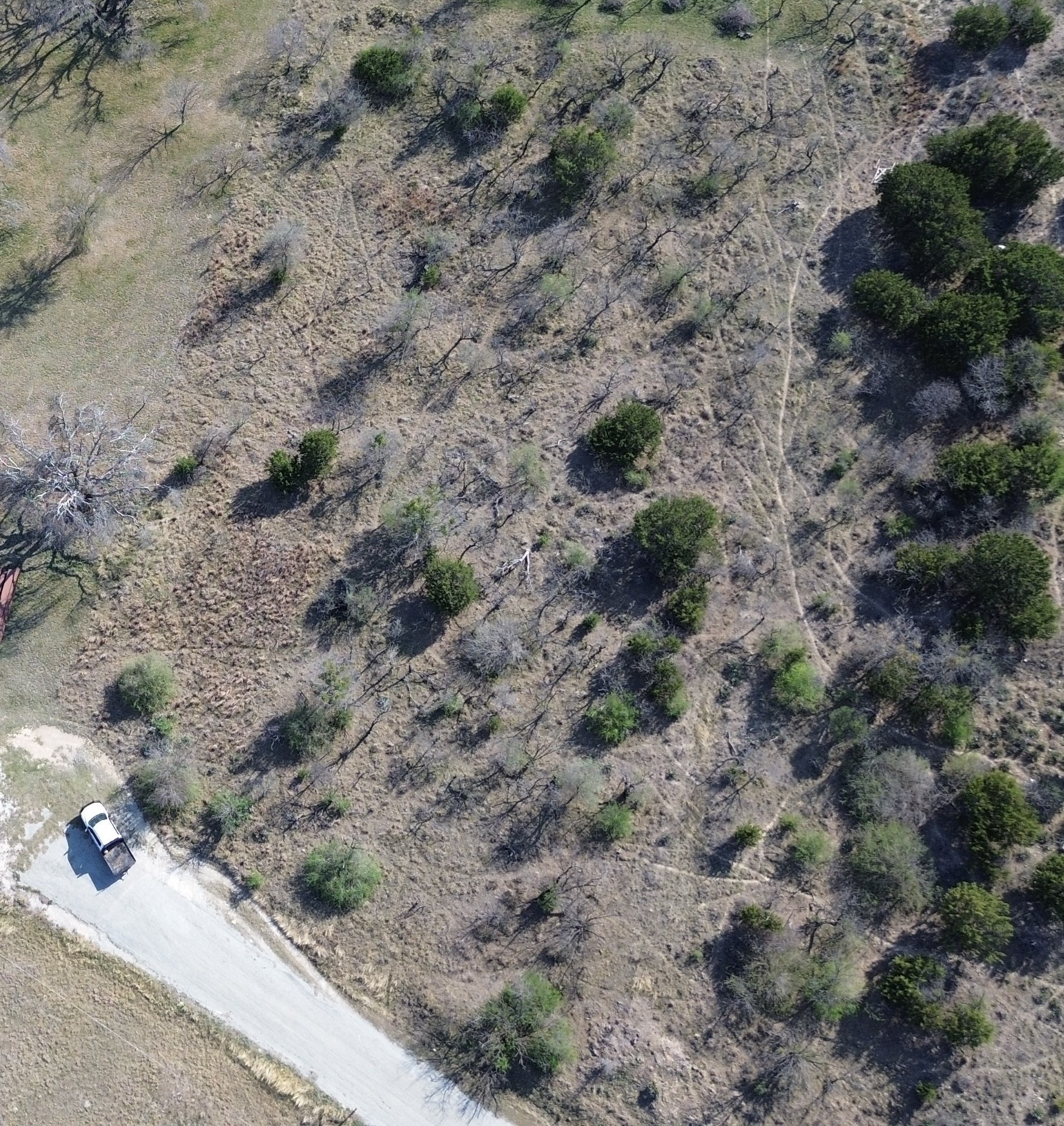 000 Lake Point Road Comanche TX 76442