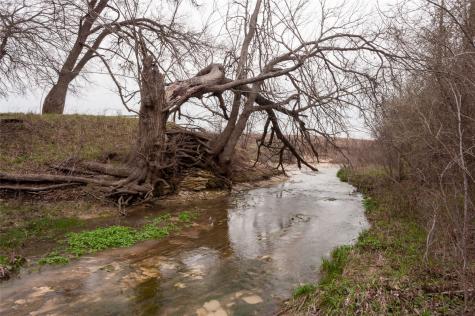 TBD49 Dunaway Road Waxahachie TX 75167