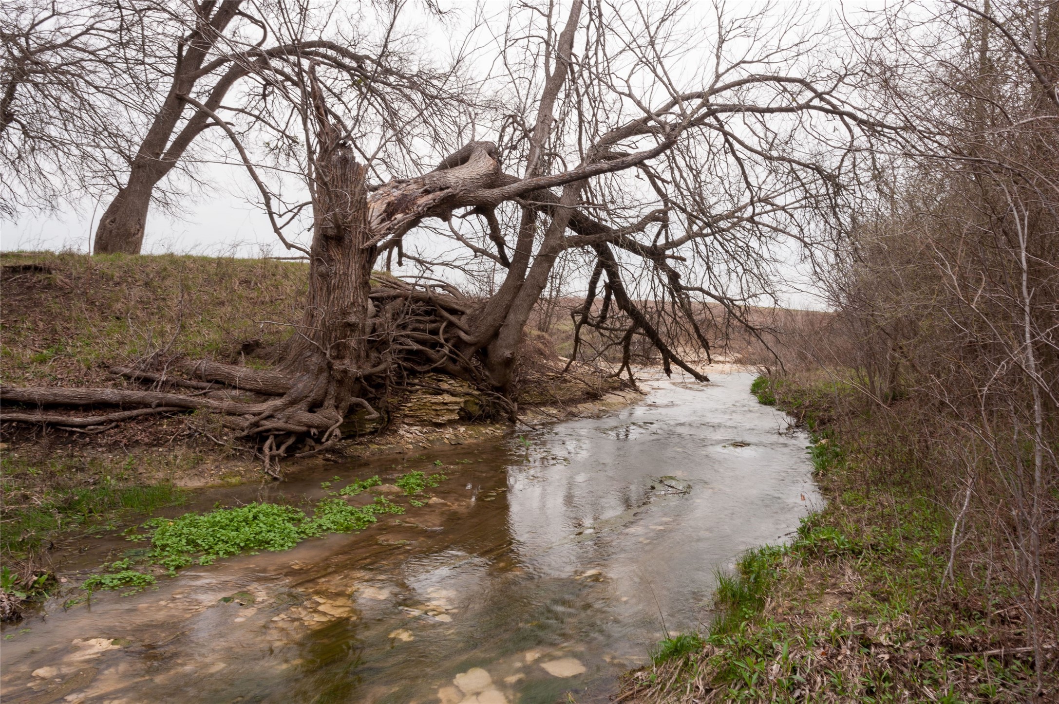 TBD49 Dunaway Road Waxahachie TX 75167