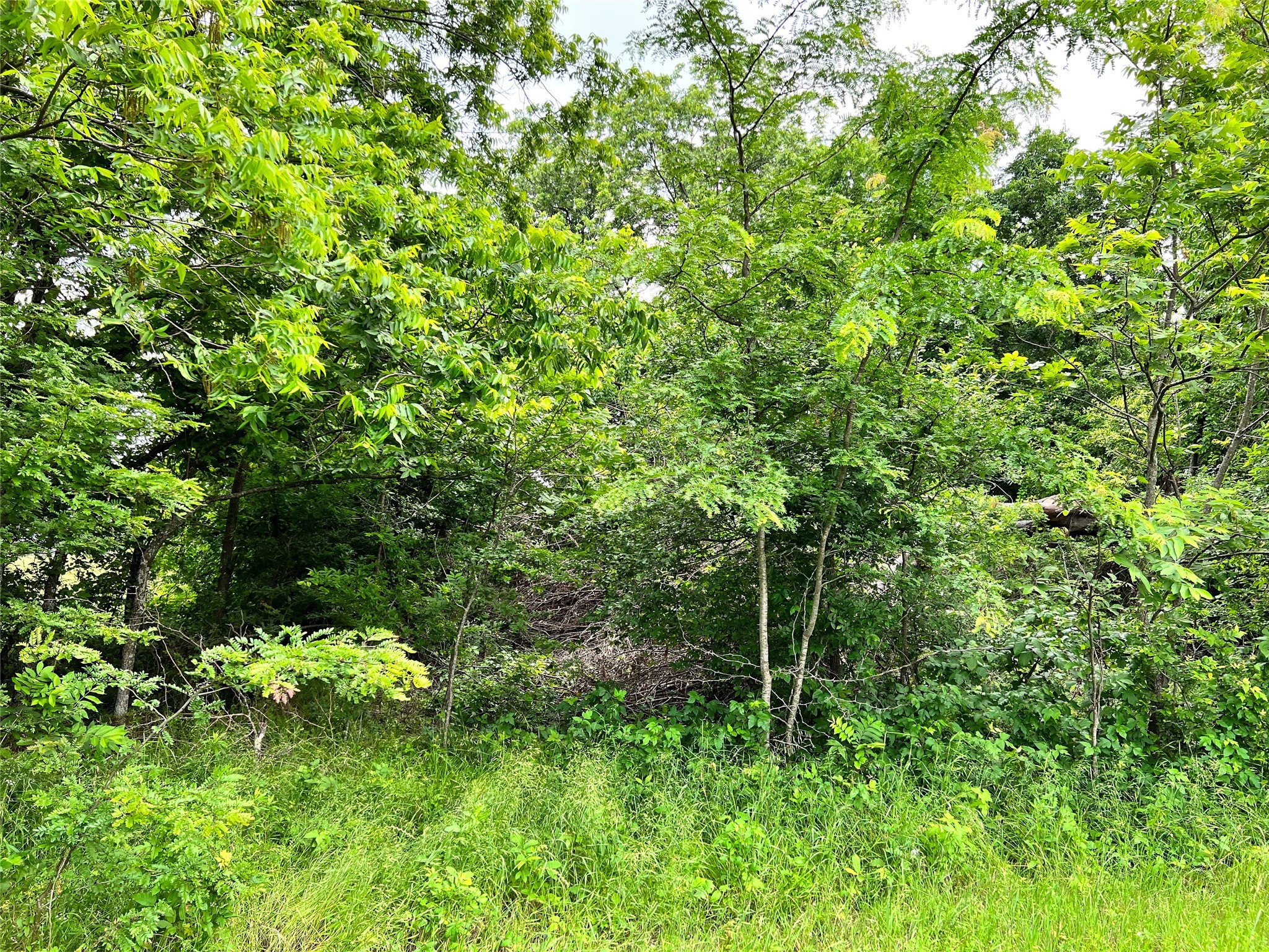 Lot 78 Clubhouse Drive Corsicana TX 75109