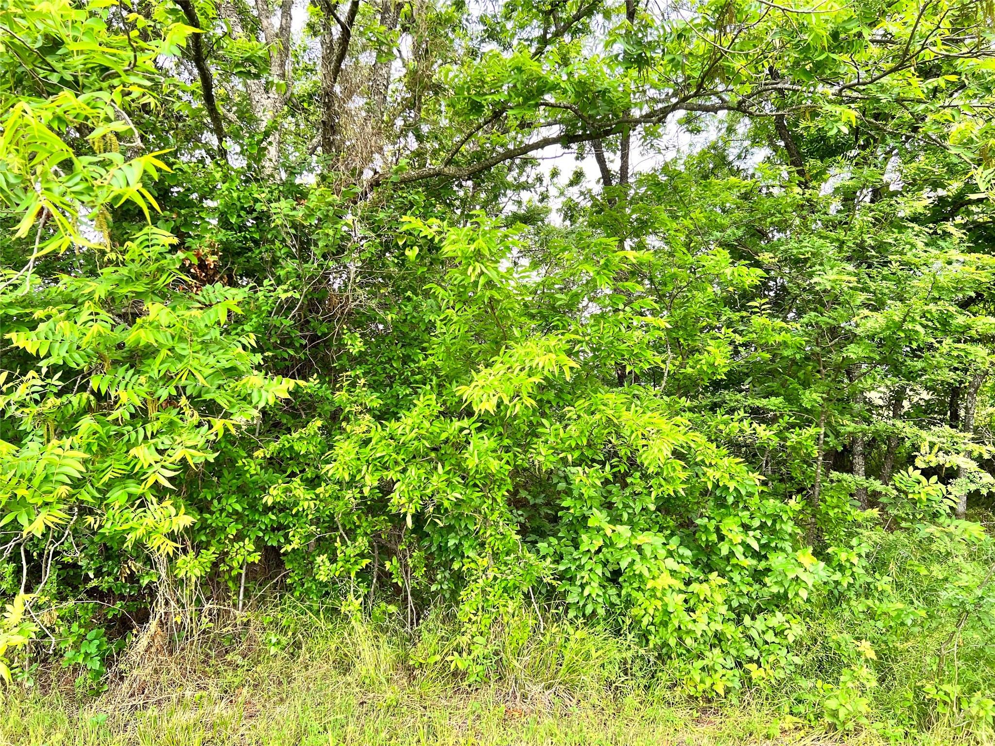 Lot 78 Clubhouse Drive Corsicana TX 75109