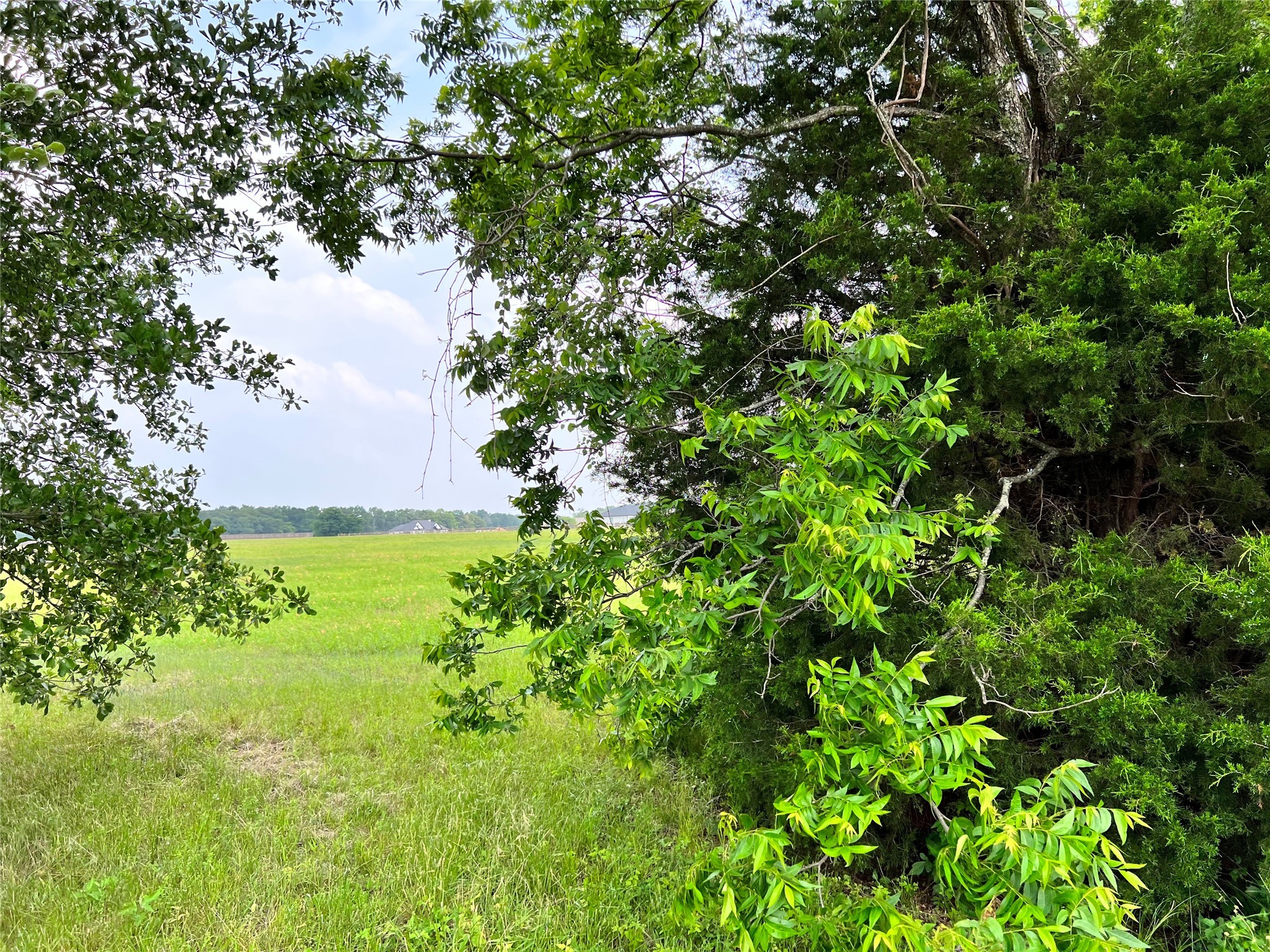Lot 78 Clubhouse Drive Corsicana TX 75109