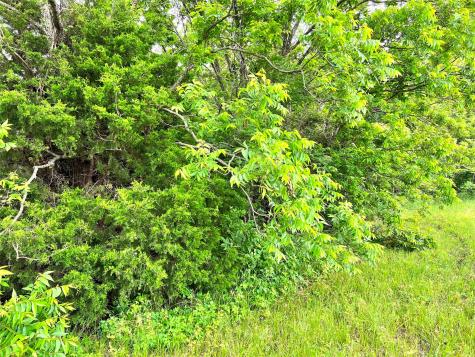 Lot 78 Clubhouse Drive Corsicana TX 75109