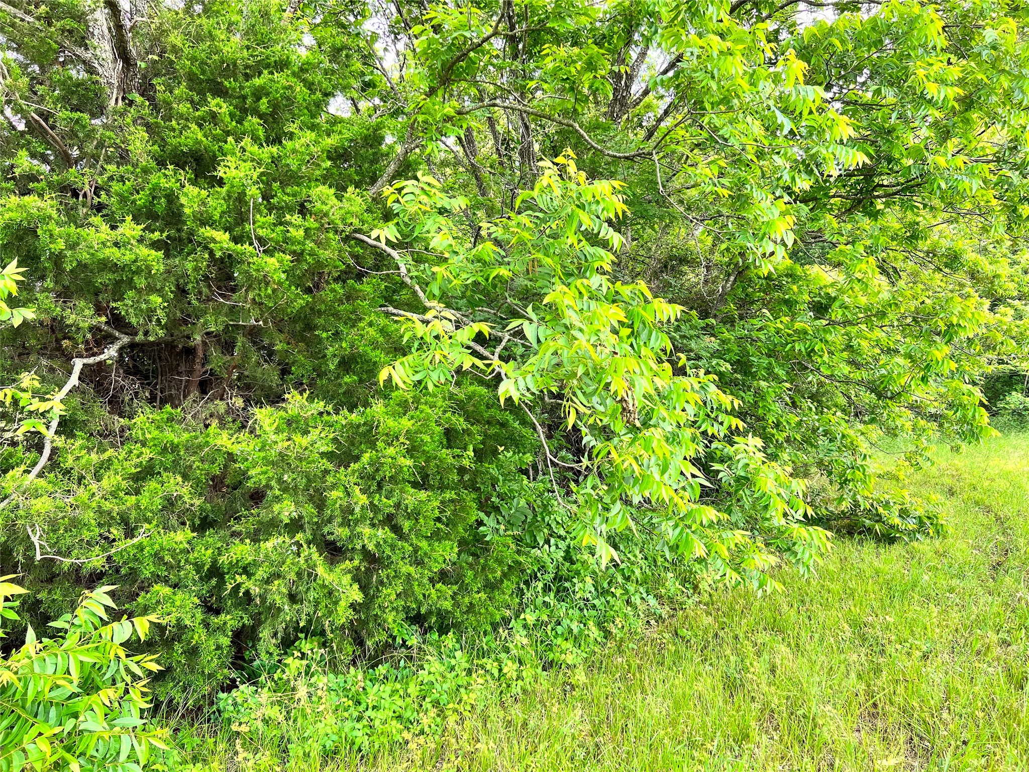 Lot 78 Clubhouse Drive Corsicana TX 75109