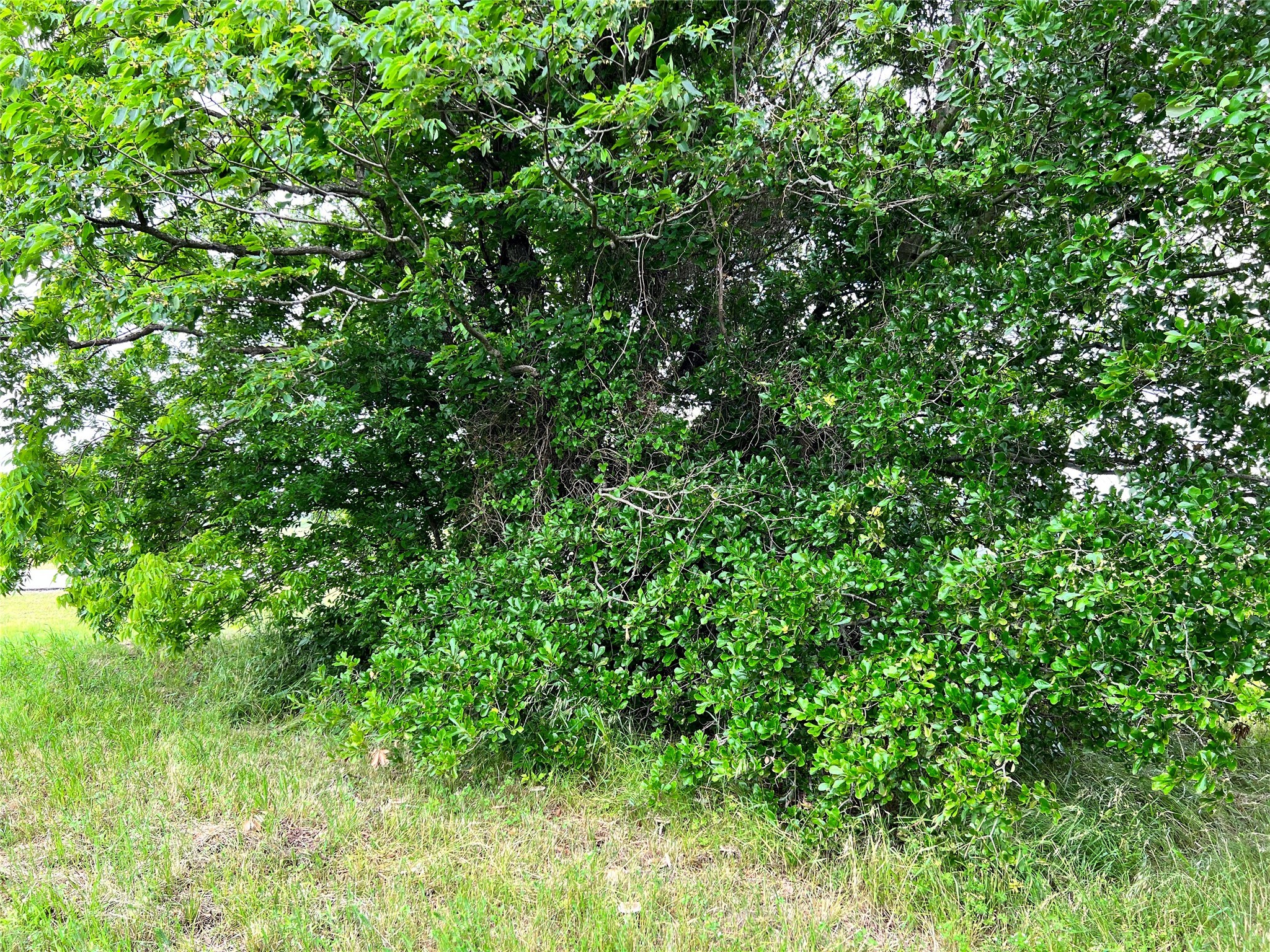 Lot 78 Clubhouse Drive Corsicana TX 75109