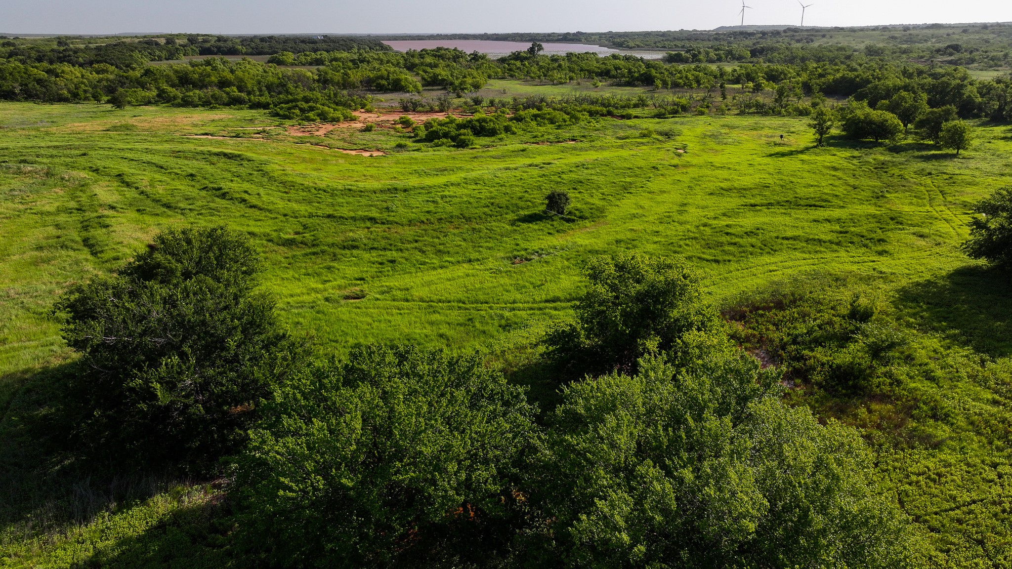 Tbd Terrapin Road Olney TX 76374