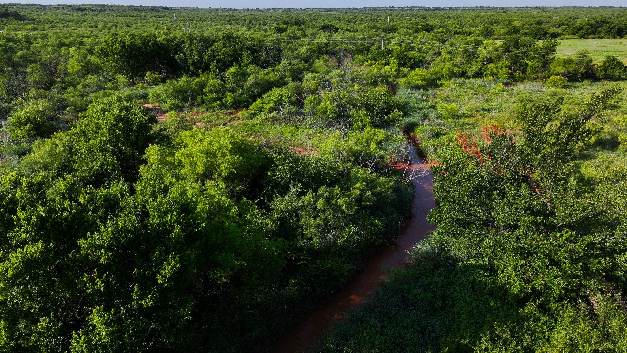Tbd Terrapin Road Olney TX 76374