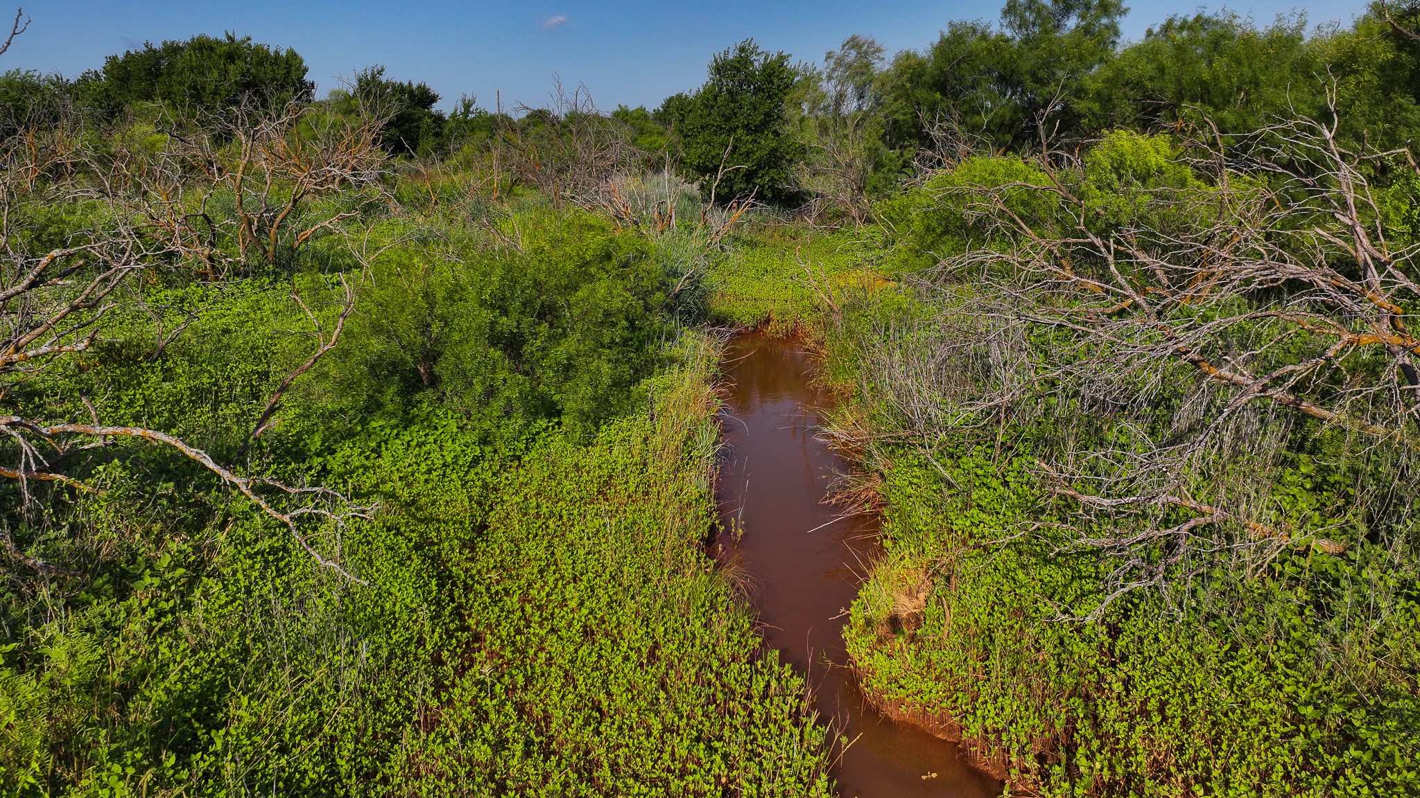 Tbd Terrapin Road Olney TX 76374