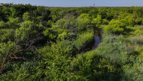 Tbd Terrapin Road Olney TX 76374