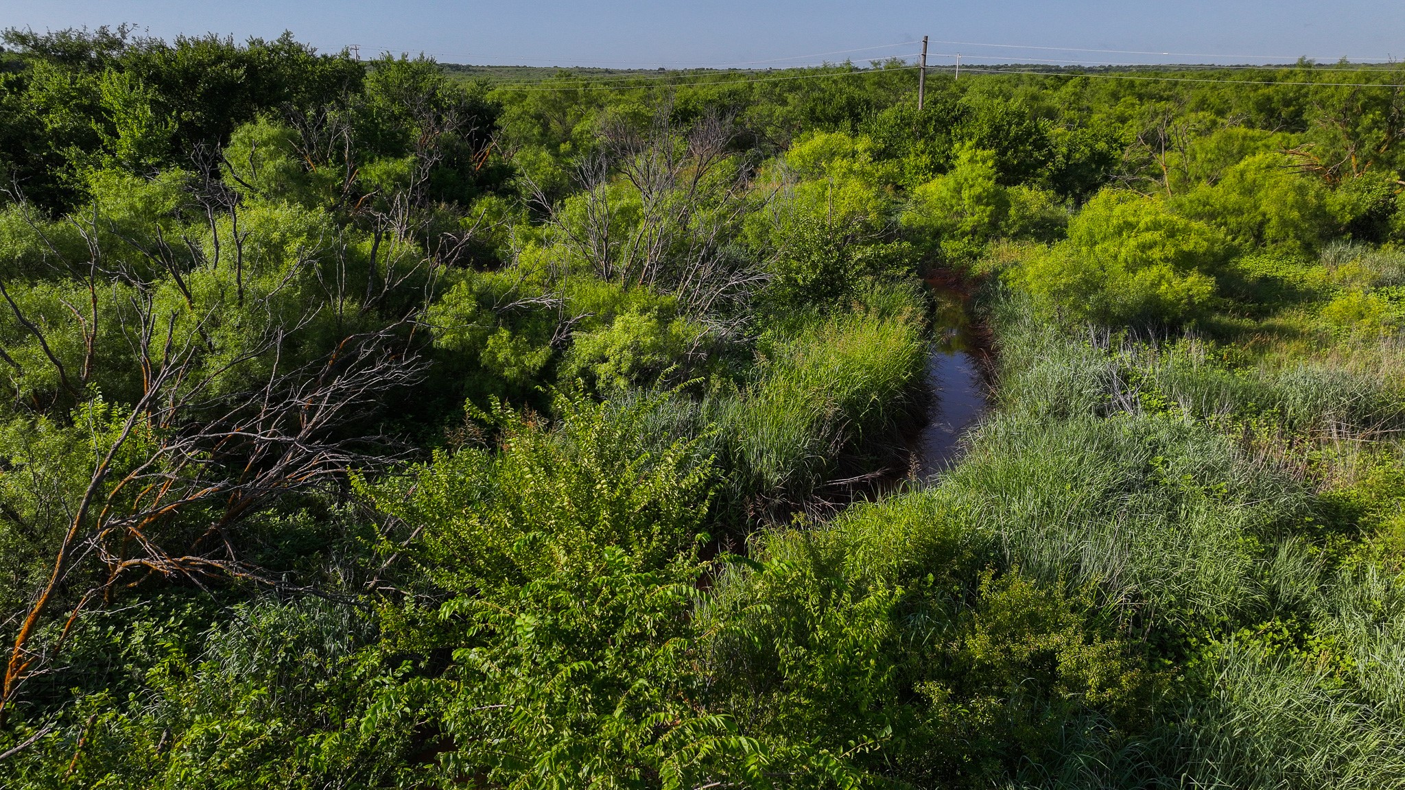 Tbd Terrapin Road Olney TX 76374