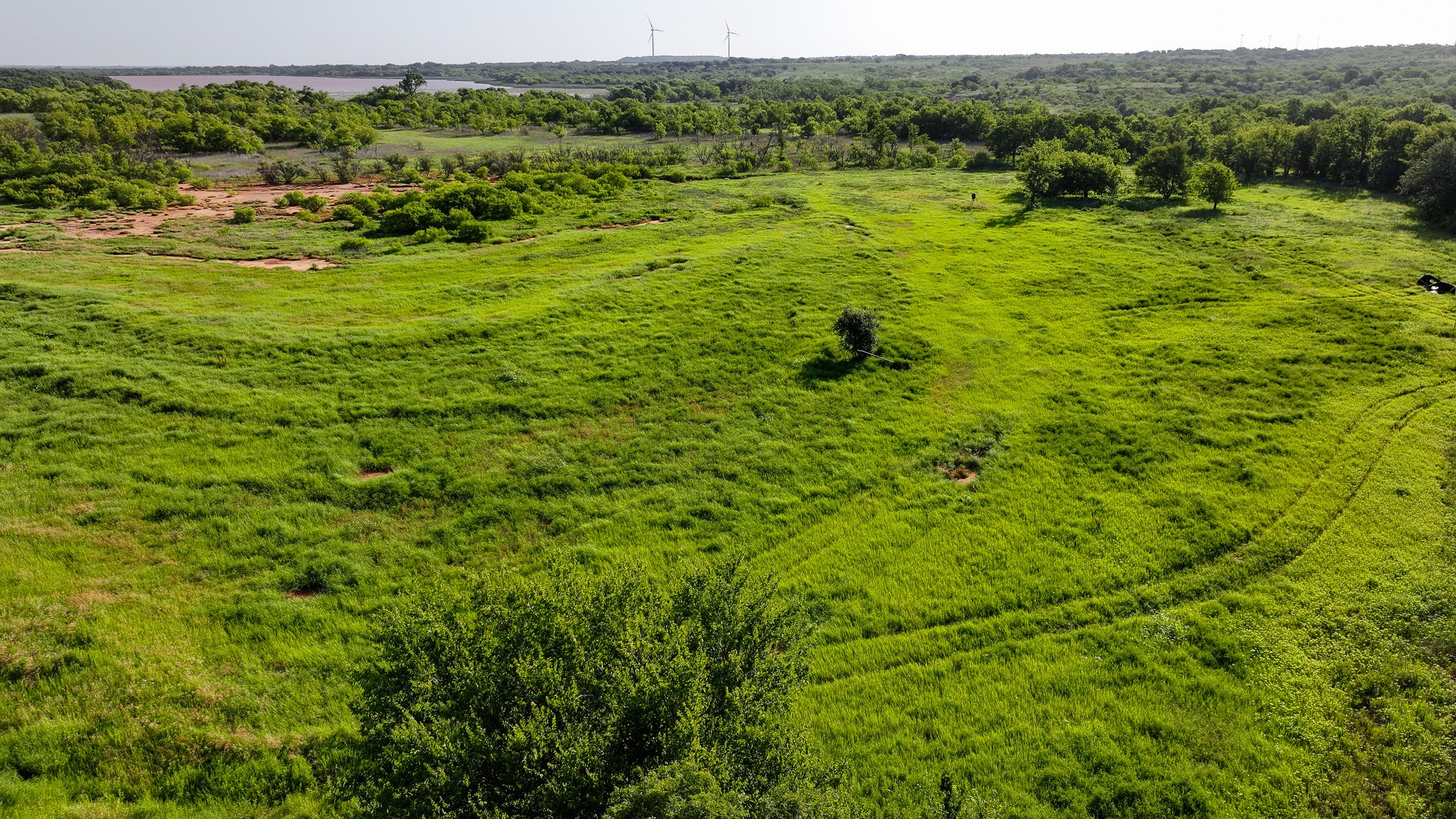 Tbd Terrapin Road Olney TX 76374