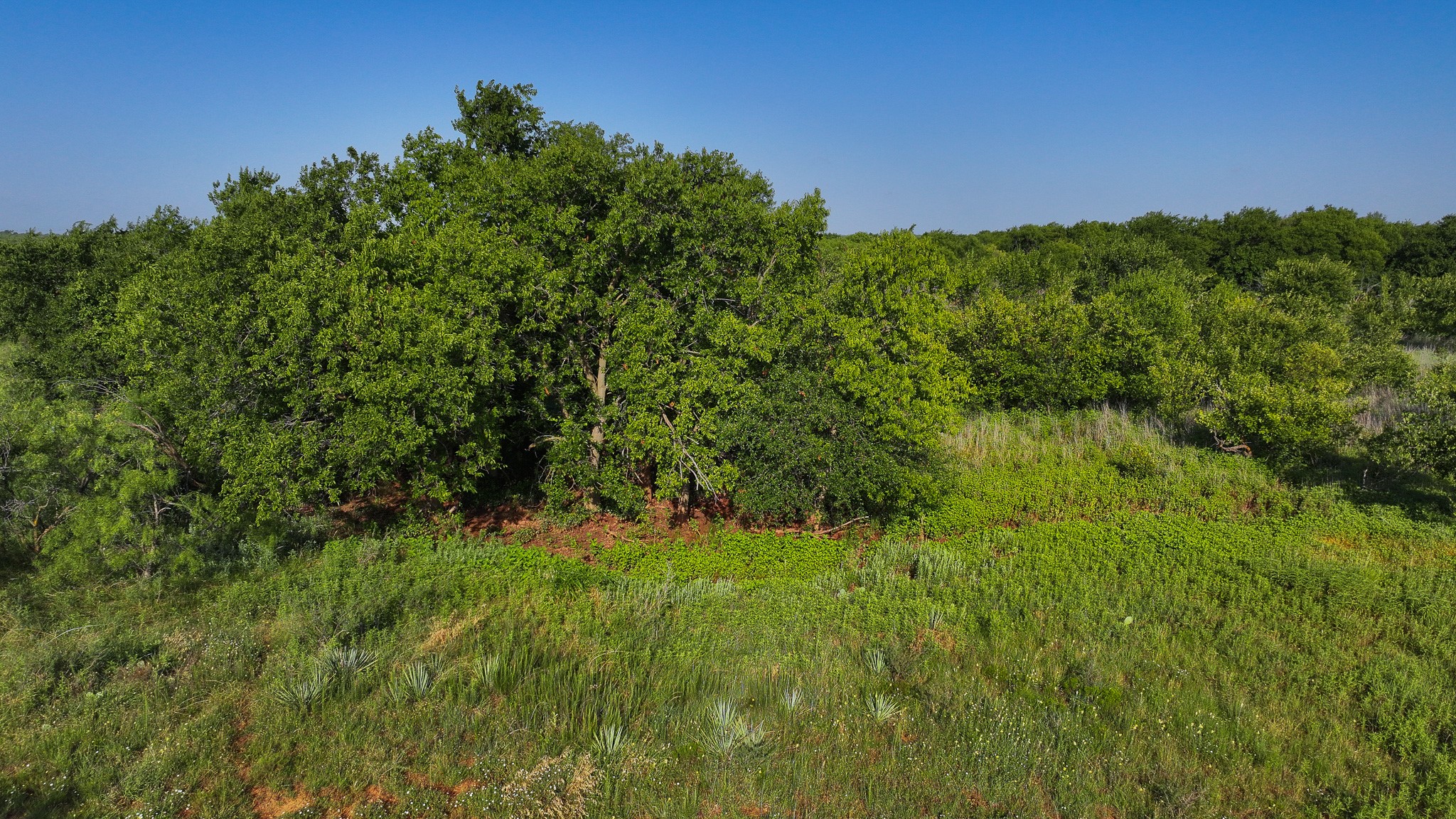 Tbd Terrapin Road Olney TX 76374