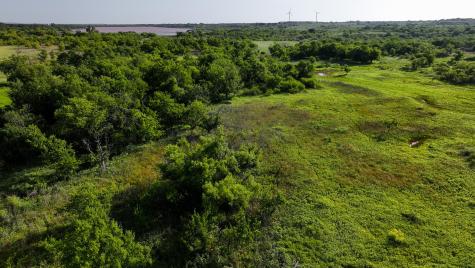 Tbd Terrapin Road Olney TX 76374