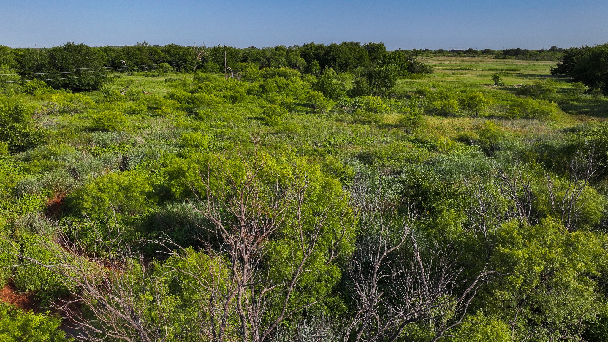 Tbd Terrapin Road Olney TX 76374