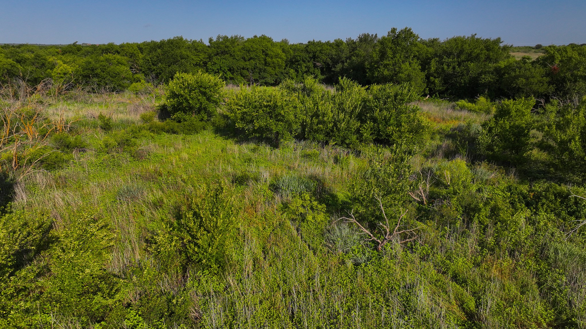 Tbd Terrapin Road Olney TX 76374