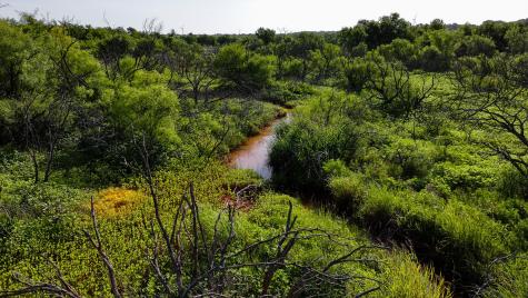 TBD Terrapin Road Olney TX 76374