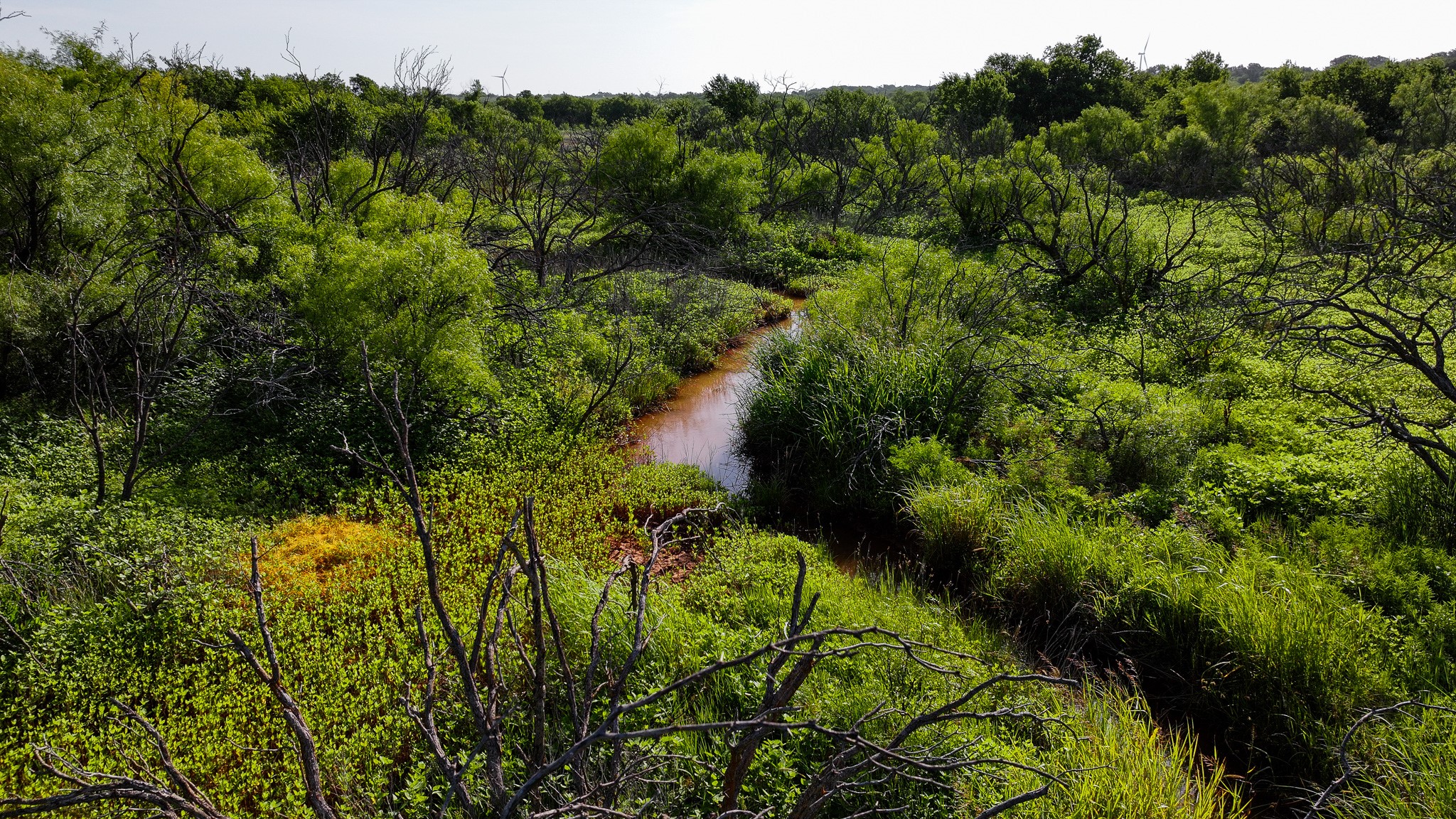 Tbd Terrapin Road Olney TX 76374