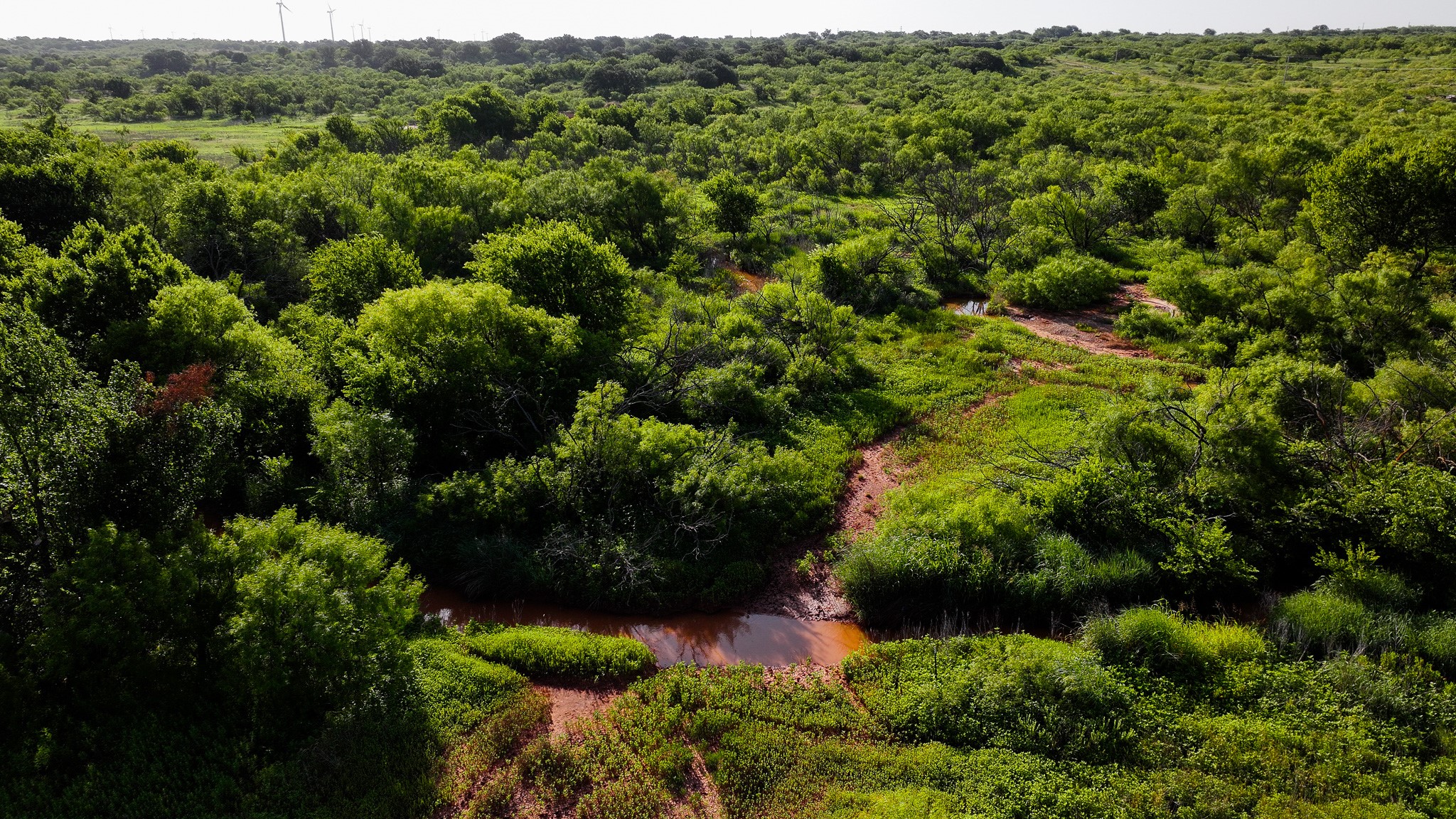Tbd Terrapin Road Olney TX 76374