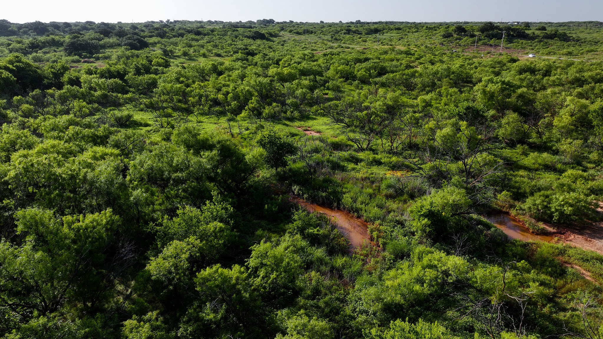 Tbd Terrapin Road Olney TX 76374