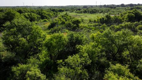Tbd Terrapin Road Olney TX 76374