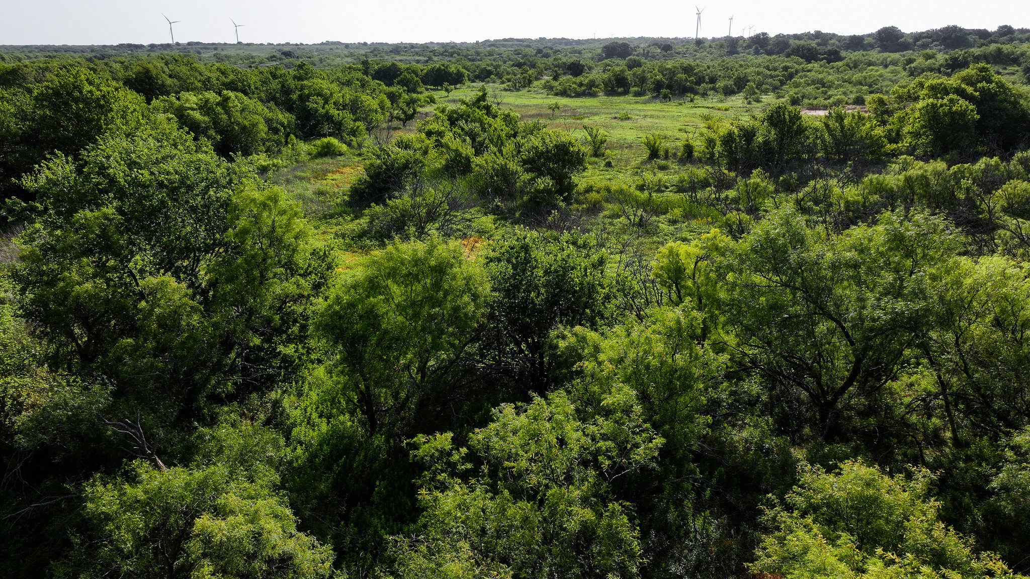 Tbd Terrapin Road Olney TX 76374