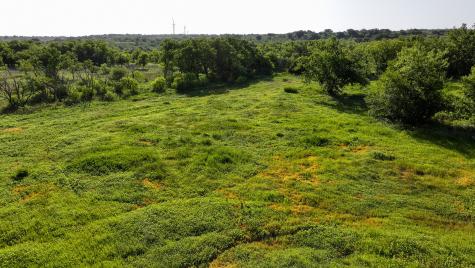 Tbd Terrapin Road Olney TX 76374