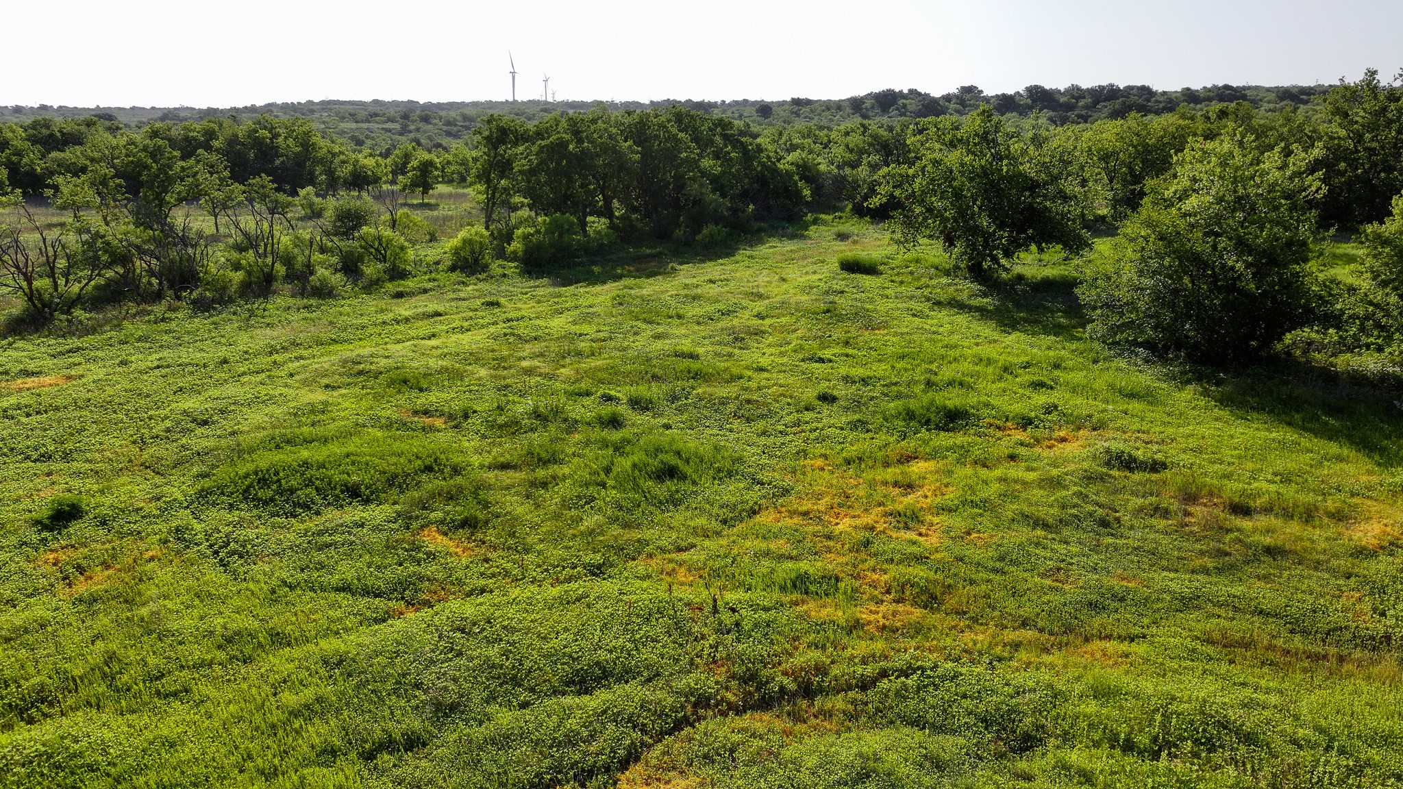 Tbd Terrapin Road Olney TX 76374
