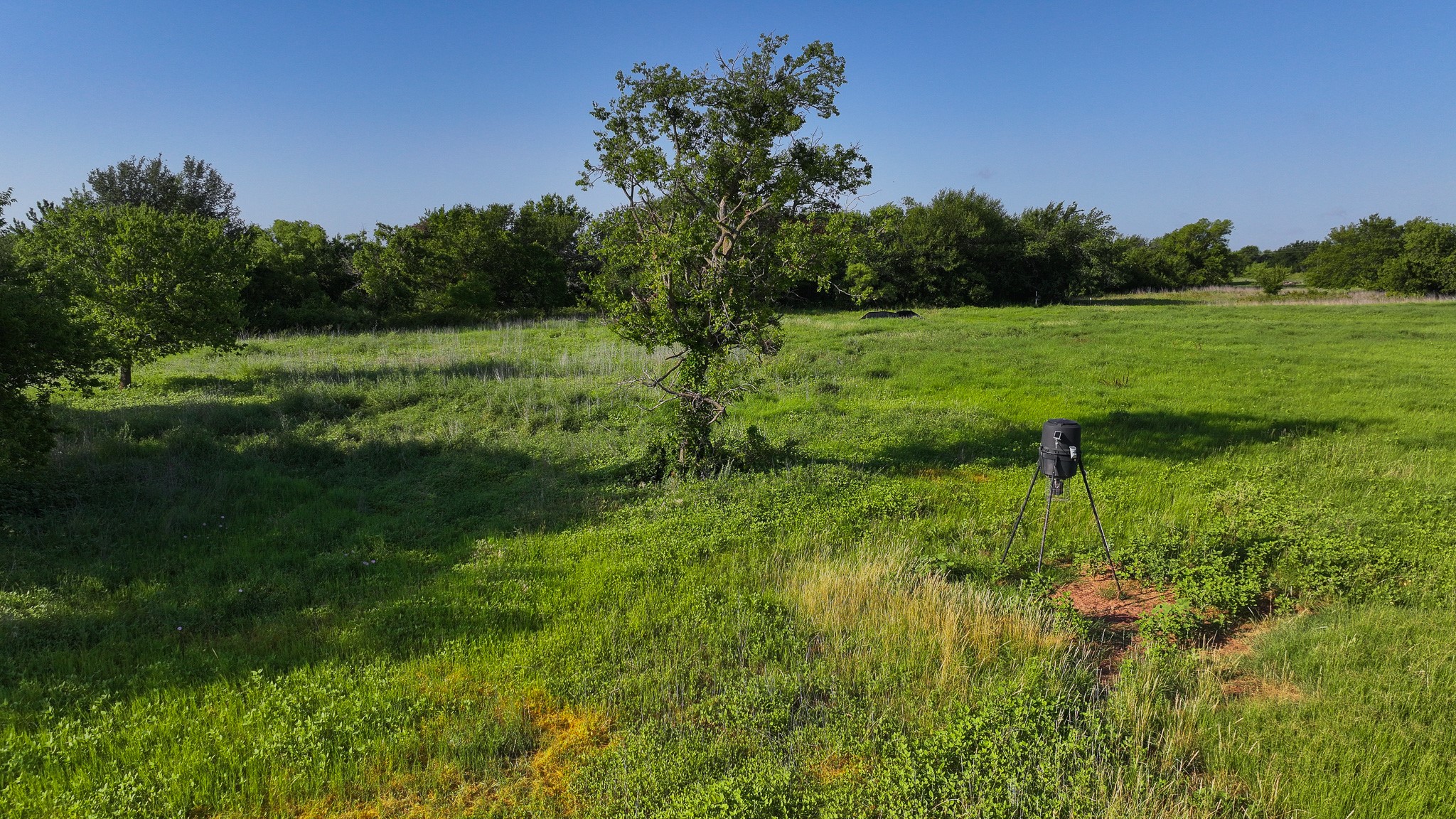 Tbd Terrapin Road Olney TX 76374