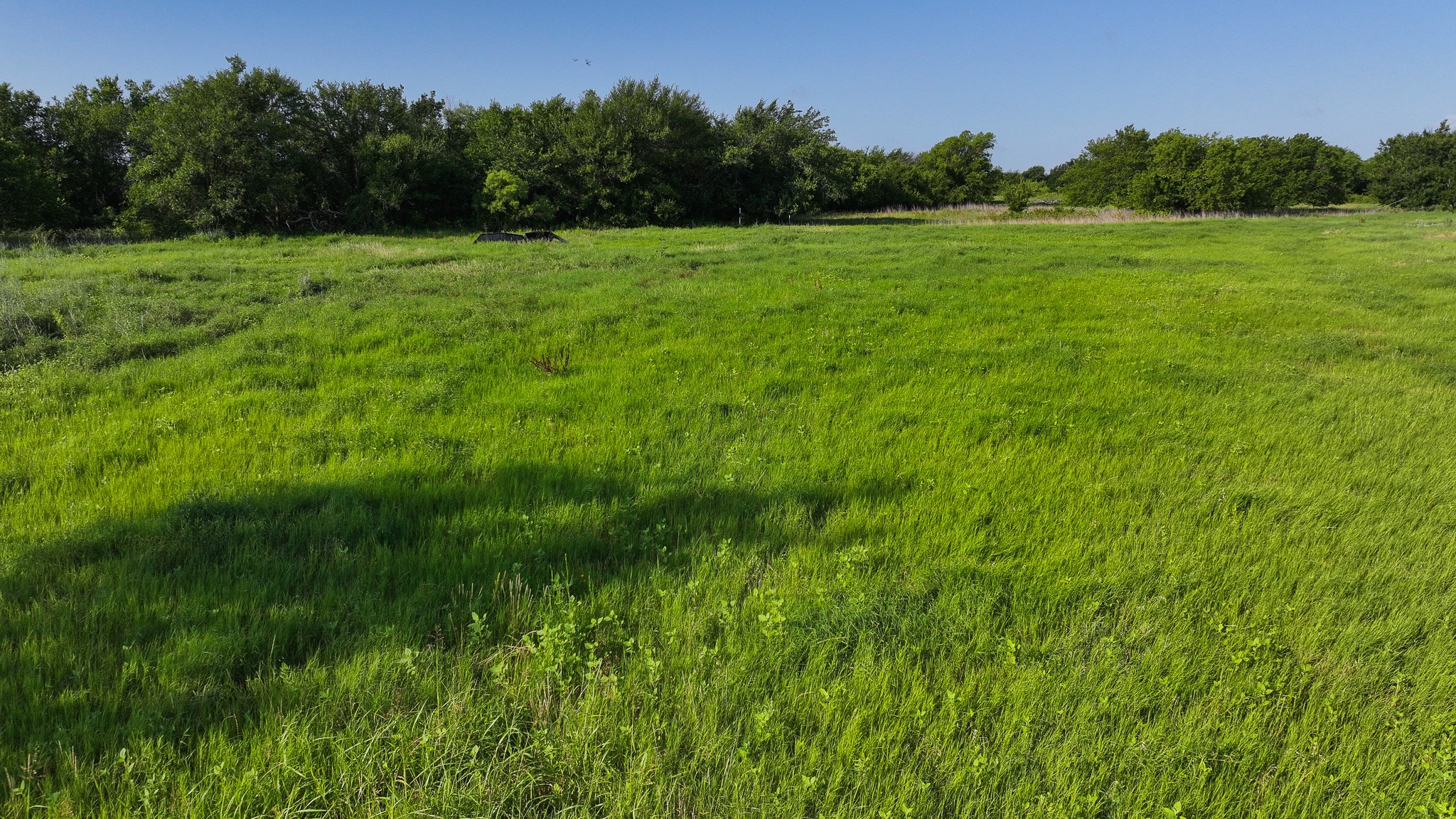 Tbd Terrapin Road Olney TX 76374