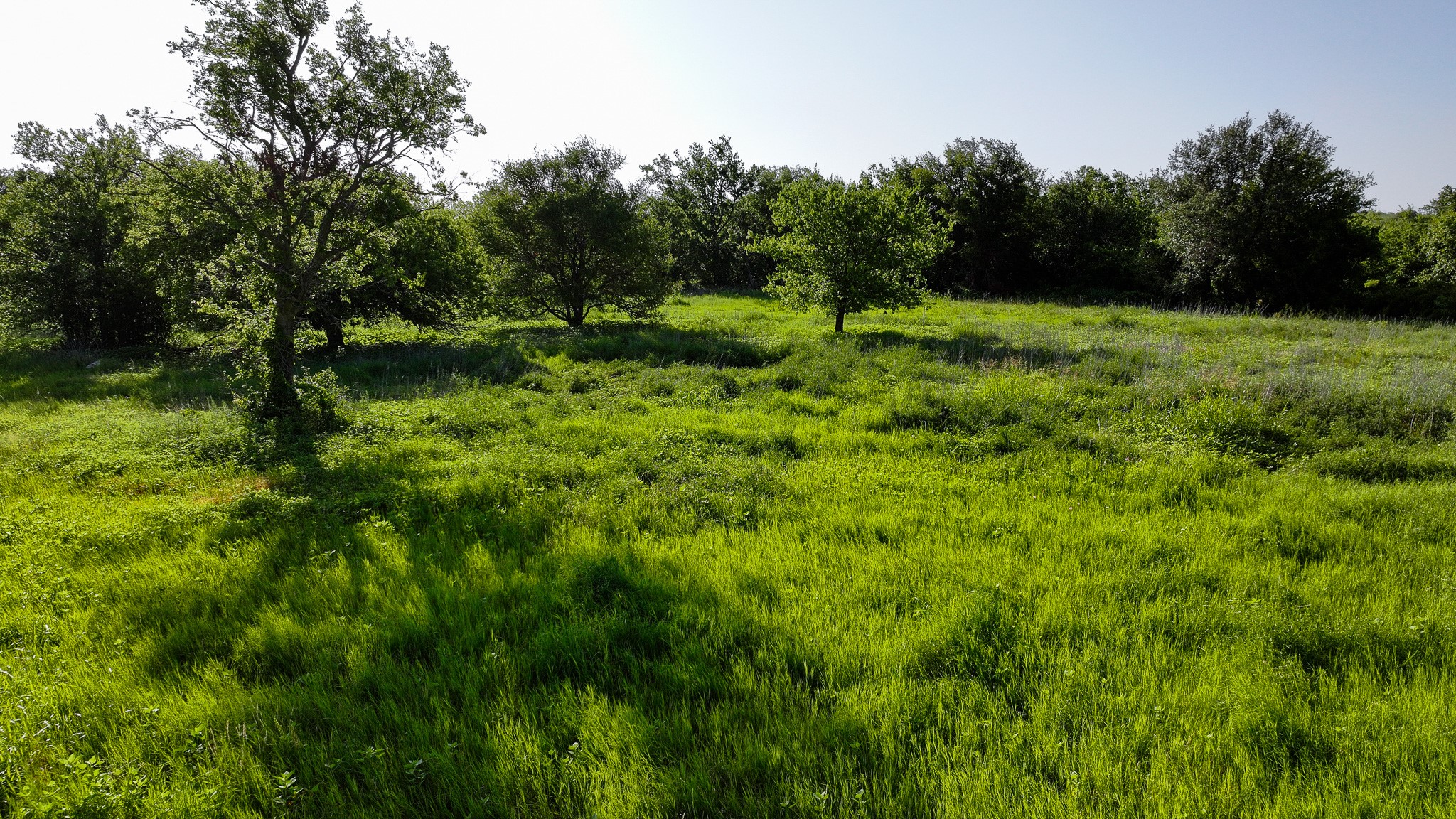 Tbd Terrapin Road Olney TX 76374