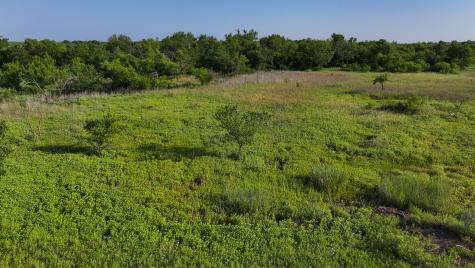 Tbd Terrapin Road Olney TX 76374