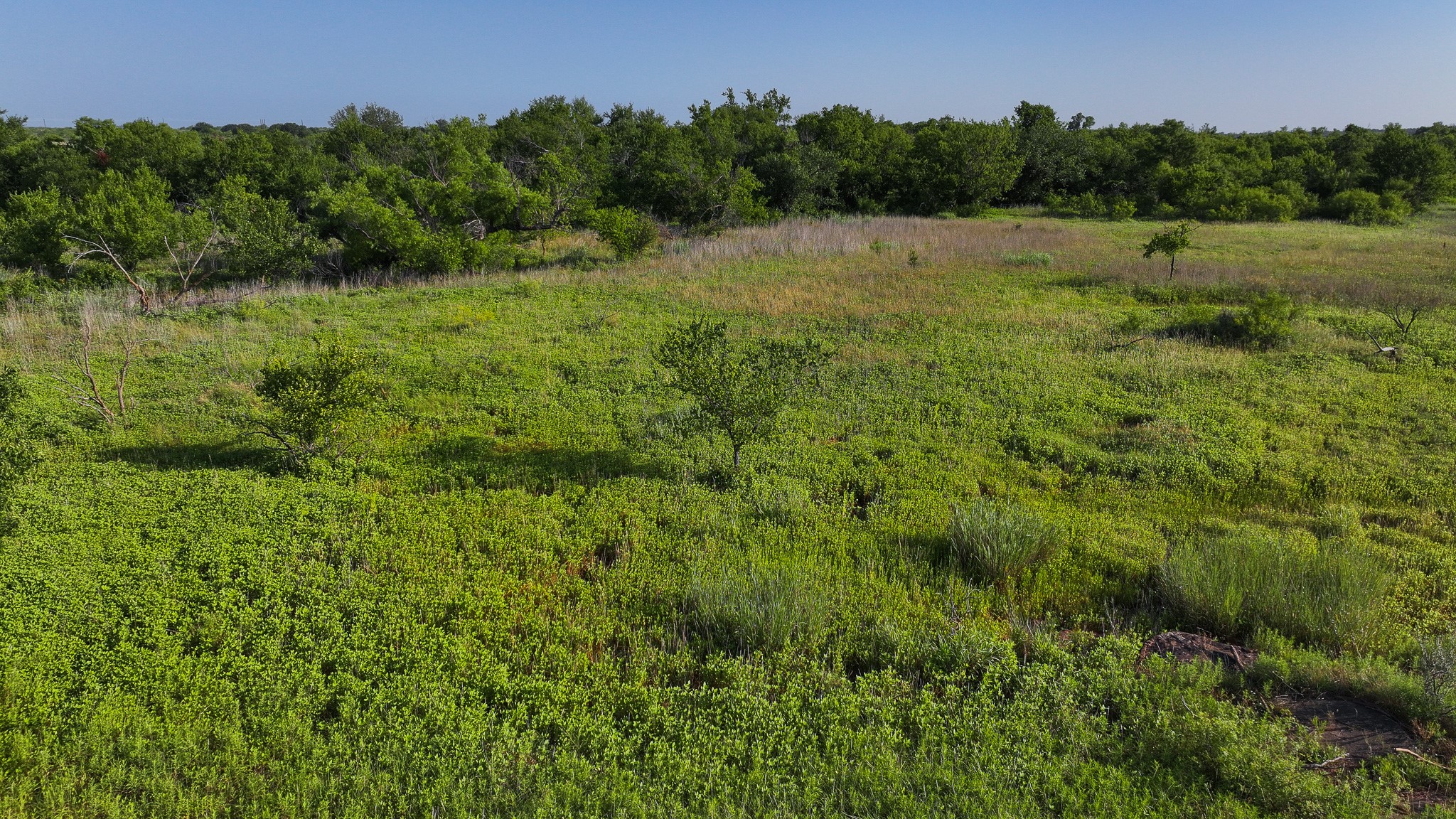 Tbd Terrapin Road Olney TX 76374