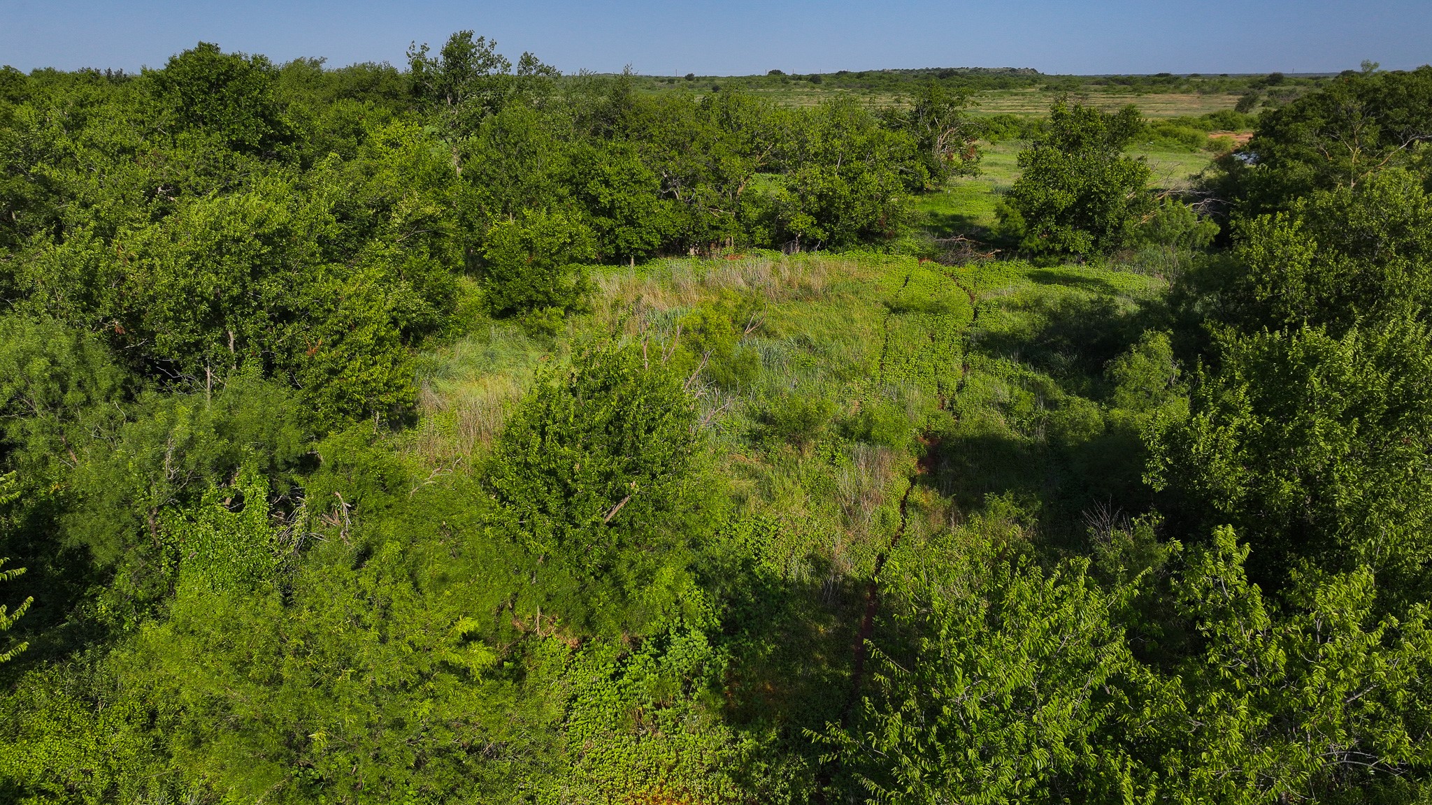 Tbd Terrapin Road Olney TX 76374