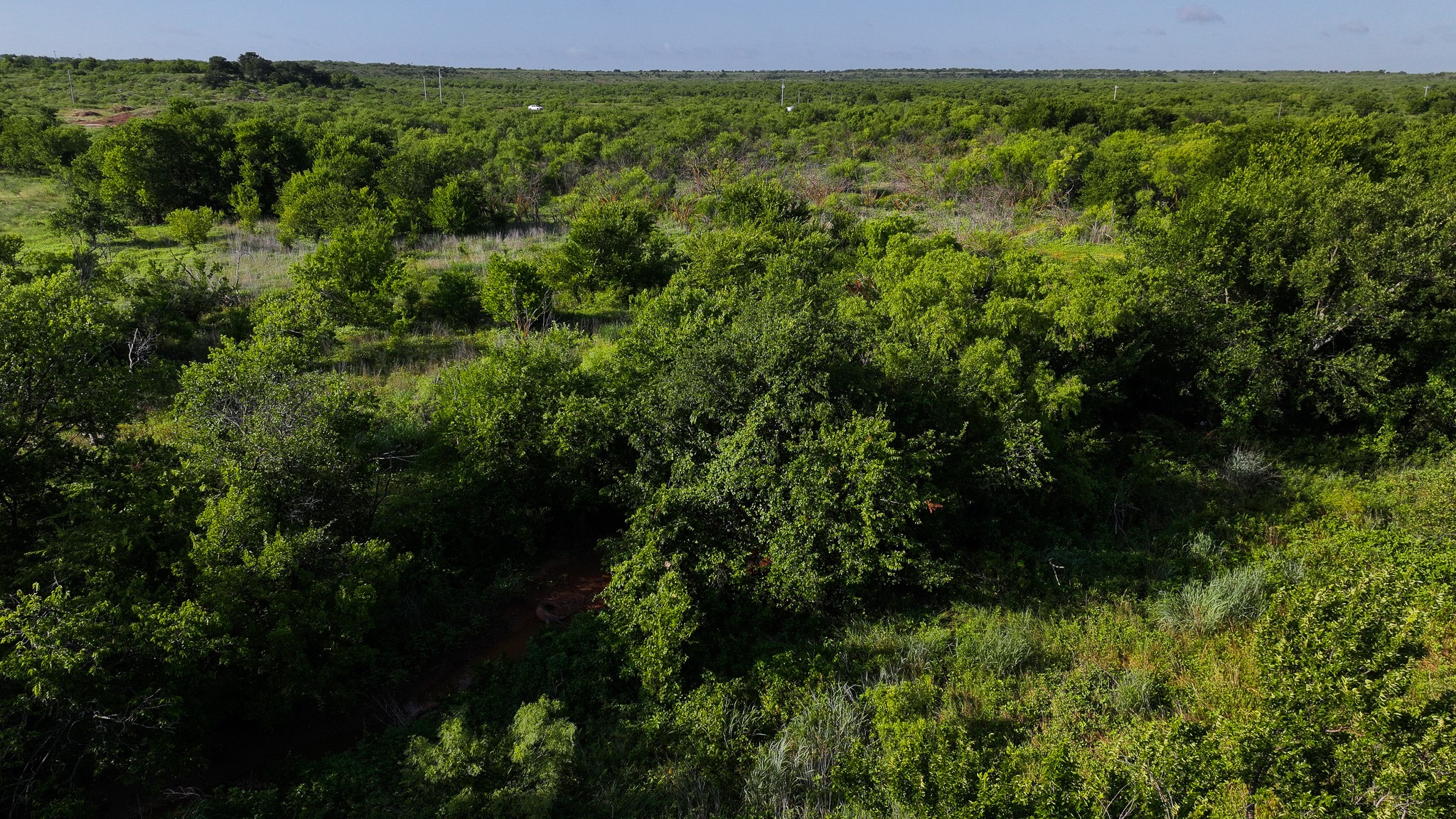 Tbd Terrapin Road Olney TX 76374