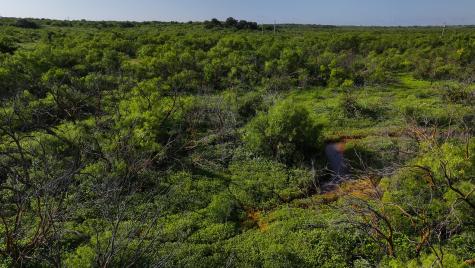Tbd Terrapin Road Olney TX 76374