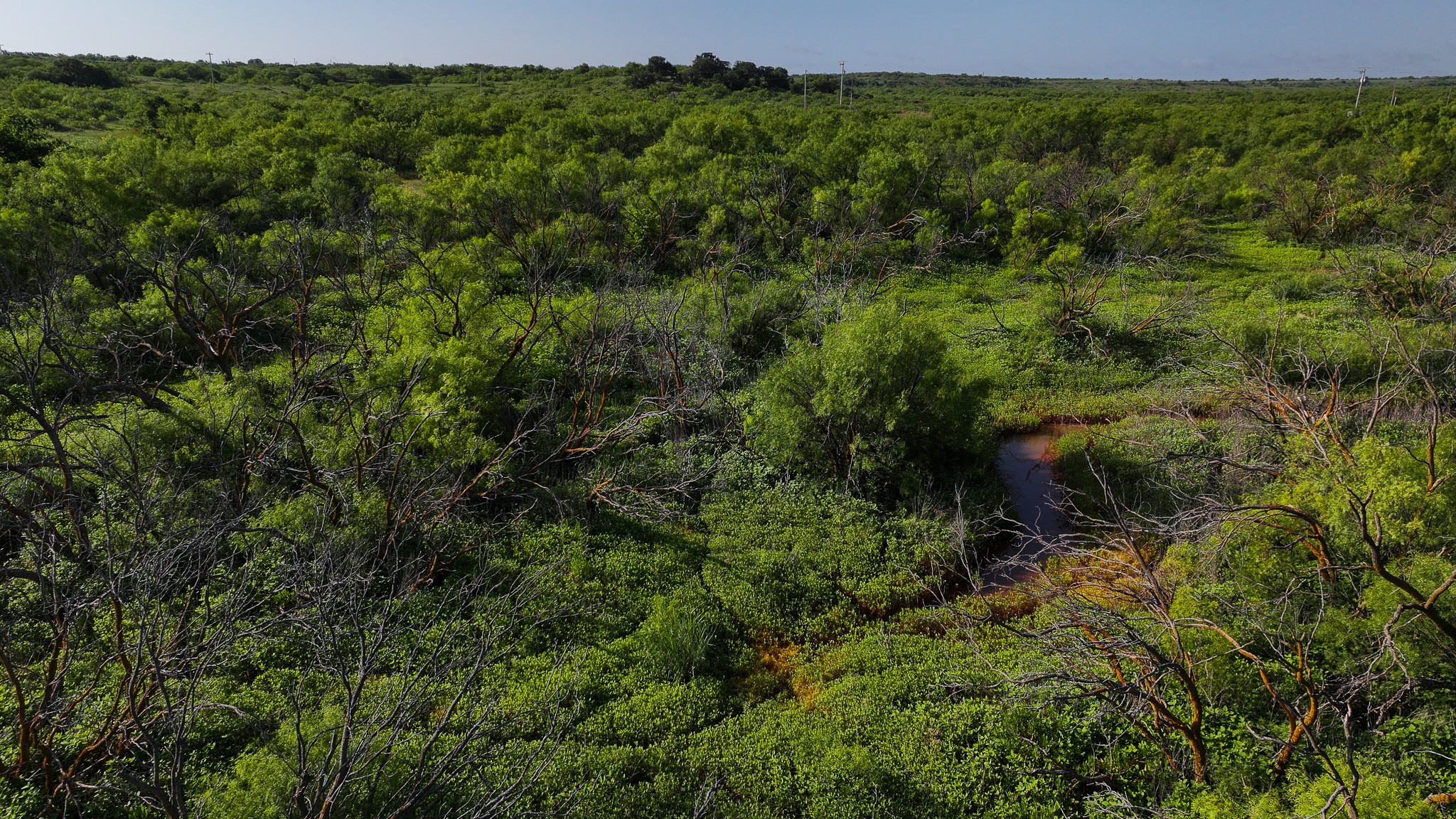 Tbd Terrapin Road Olney TX 76374