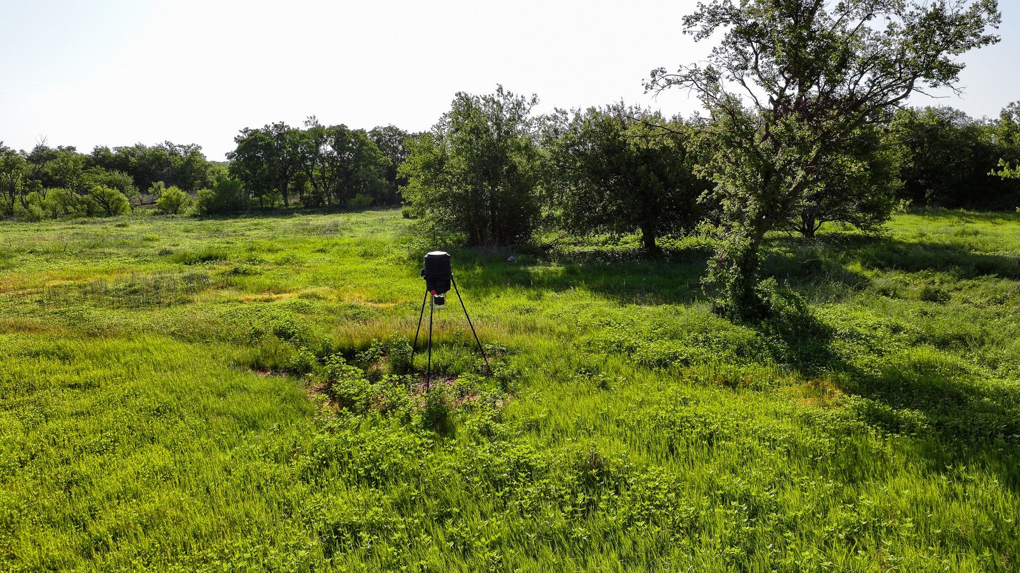 Tbd Terrapin Road Olney TX 76374