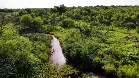 Tbd Terrapin Road Olney TX 76374
