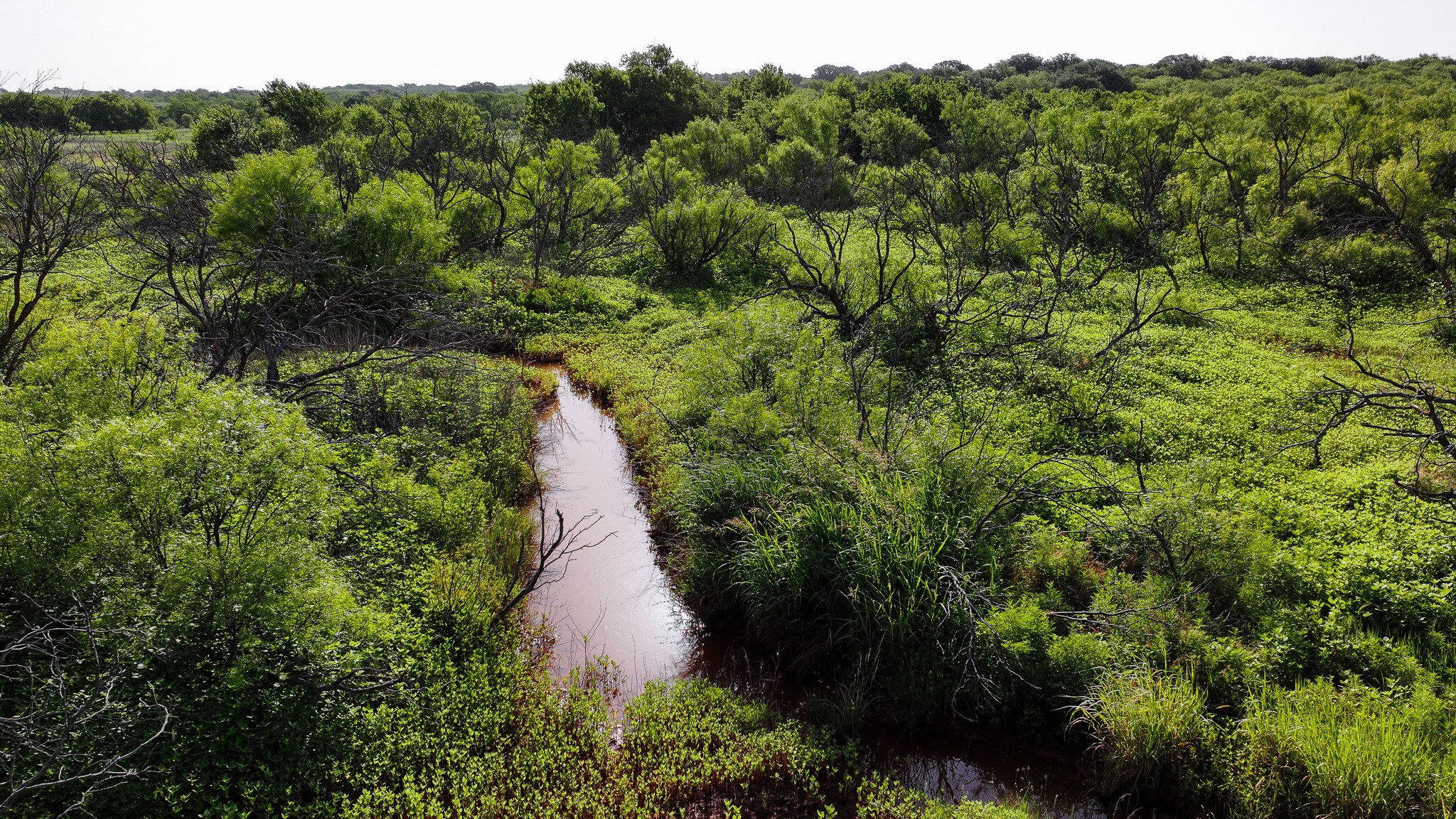 Tbd Terrapin Road Olney TX 76374