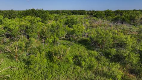 Tbd Terrapin Road Olney TX 76374