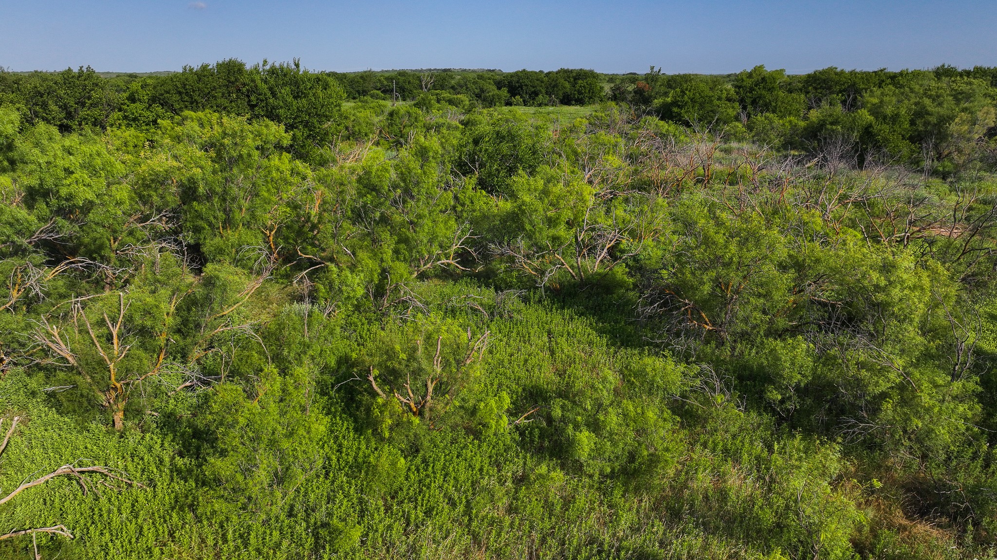 Tbd Terrapin Road Olney TX 76374