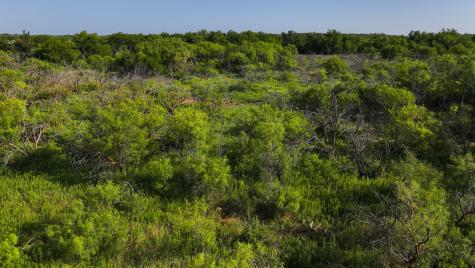 TBD Terrapin Road Olney TX 76374