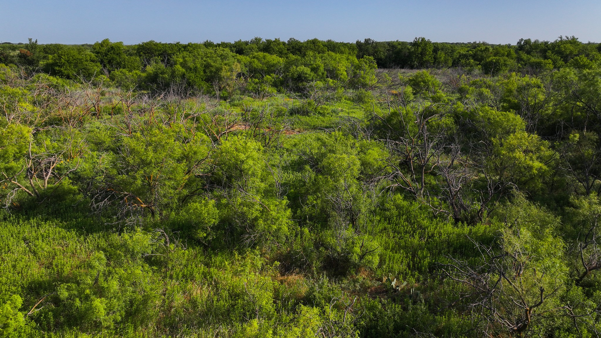 Tbd Terrapin Road Olney TX 76374