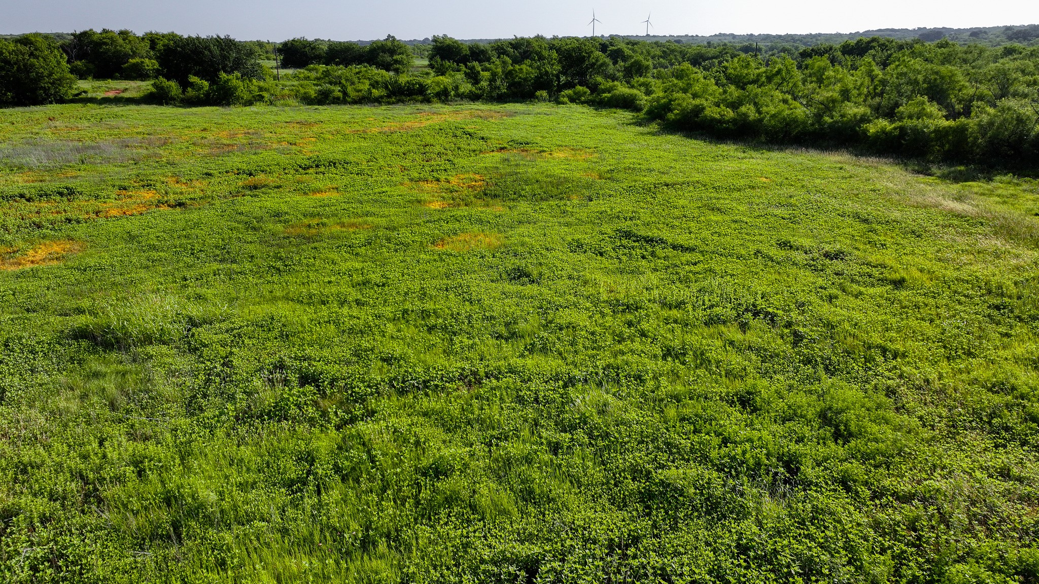 Tbd Terrapin Road Olney TX 76374