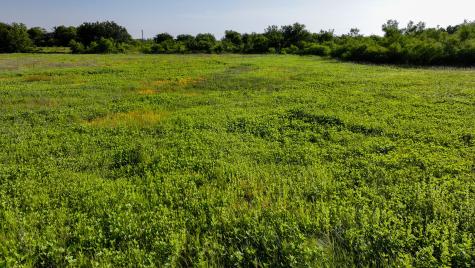 Tbd Terrapin Road Olney TX 76374