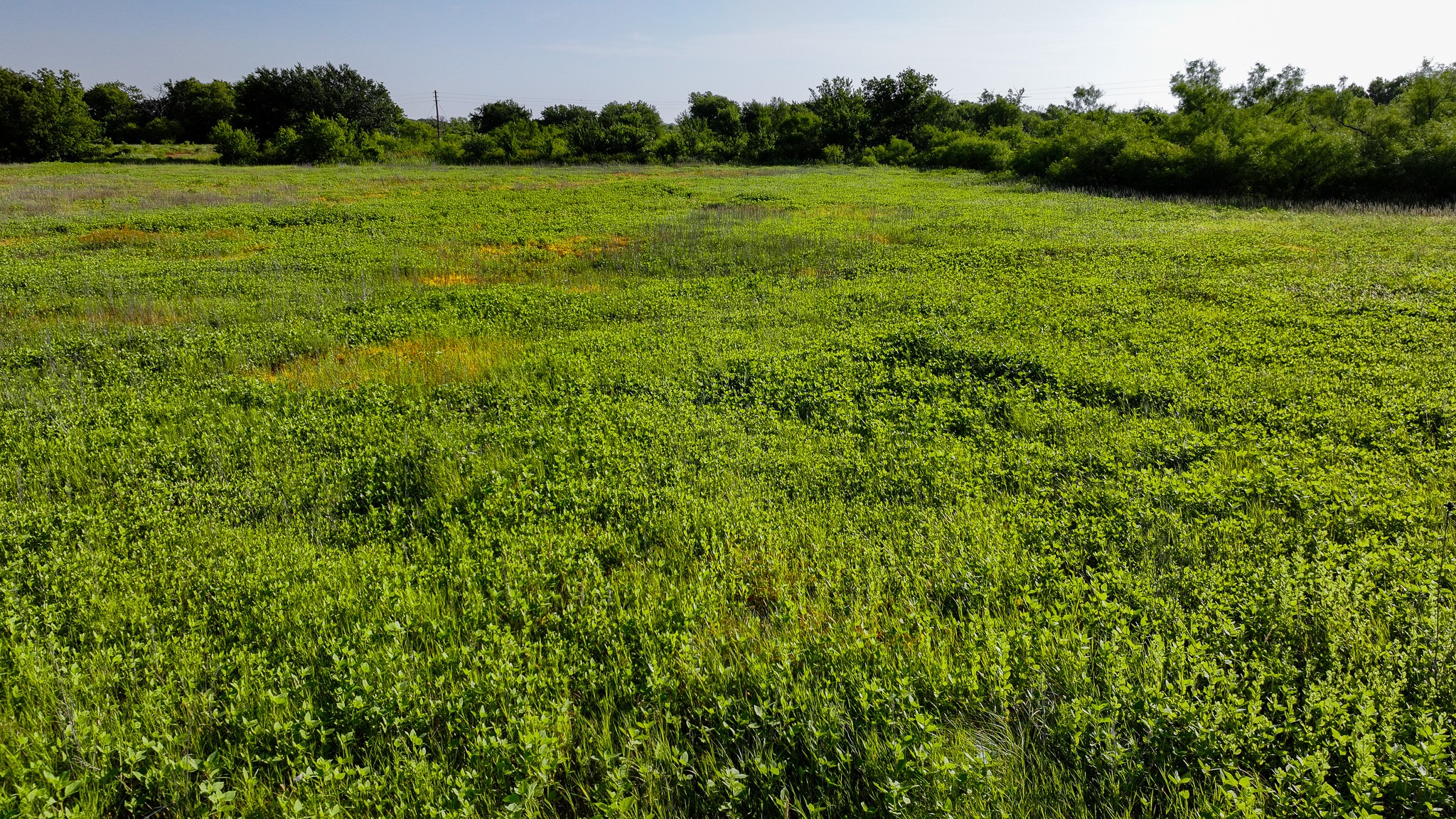 Tbd Terrapin Road Olney TX 76374