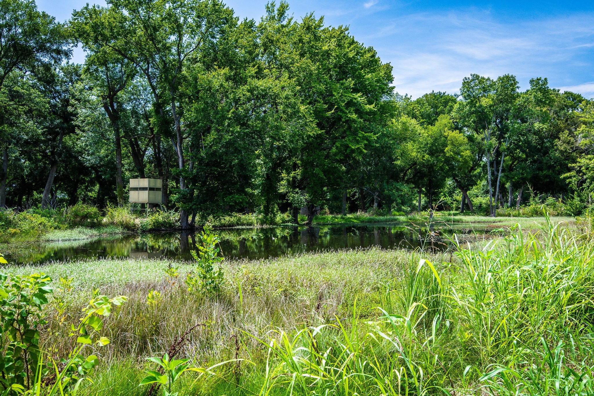 000 Pigg Road Waxahachie TX 75165