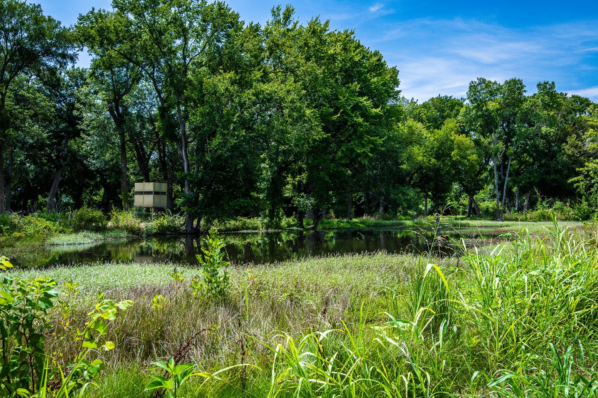 000 Pigg Road Waxahachie TX 75165