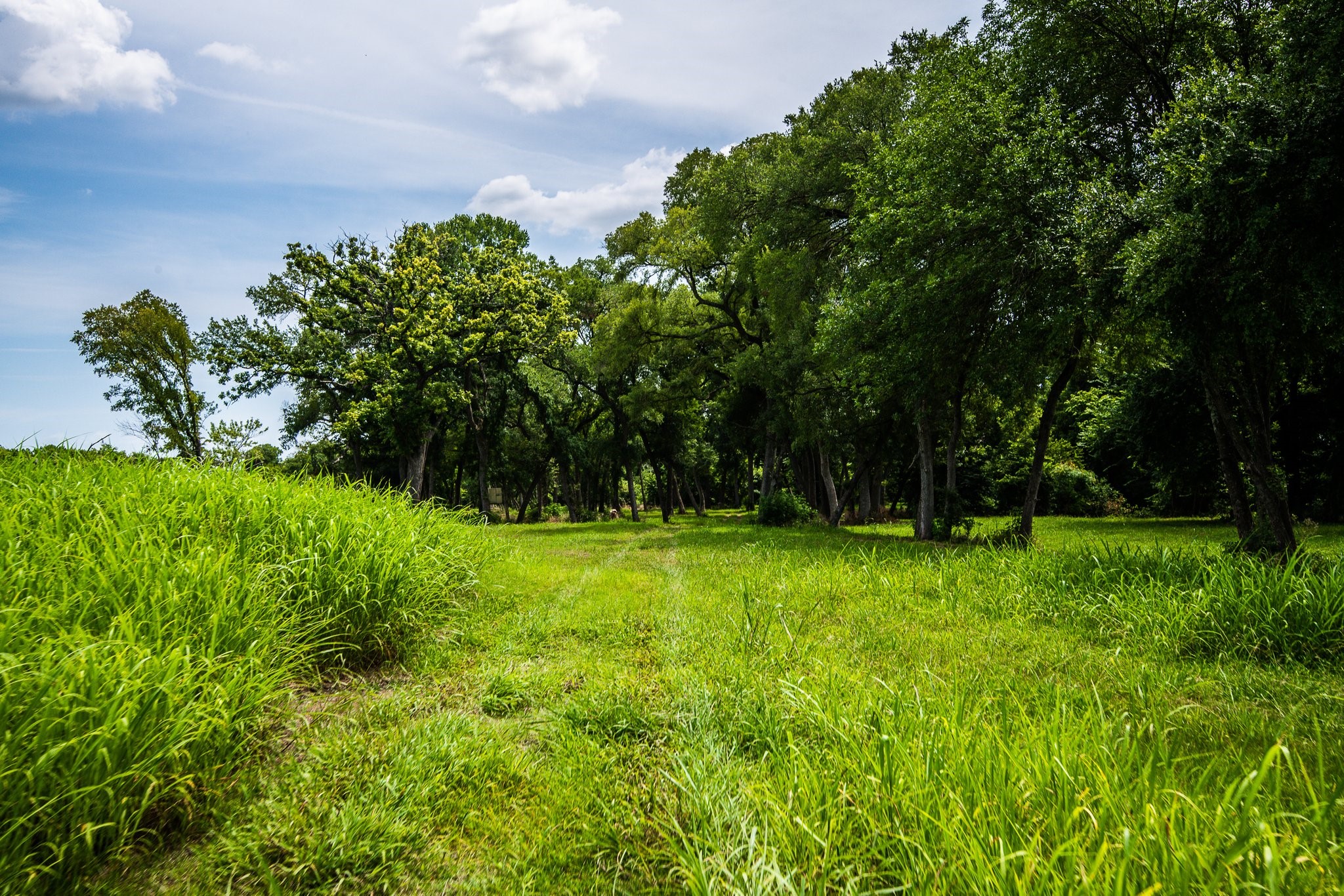 000 Pigg Road Waxahachie TX 75165